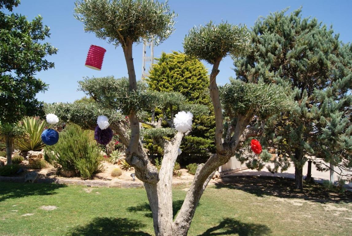 Los Jardines De Lola Daimes Ngoại thất bức ảnh