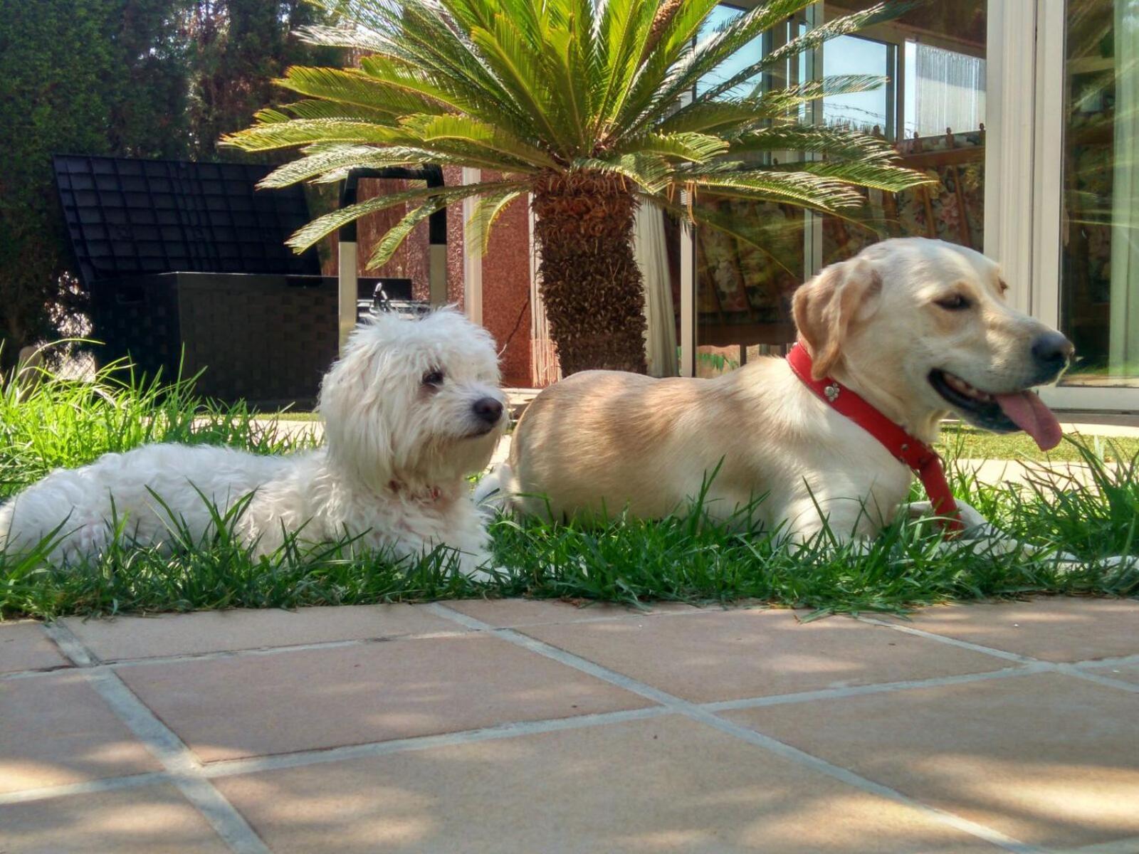 Los Jardines De Lola Daimes Ngoại thất bức ảnh