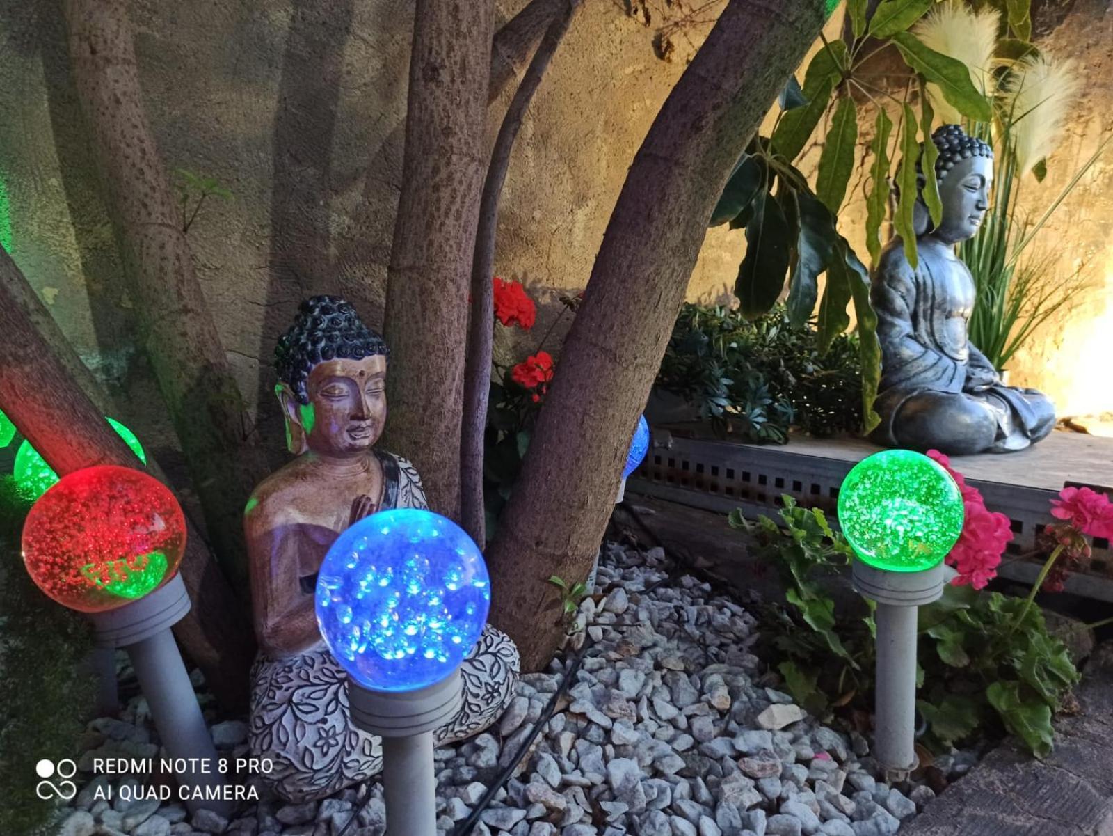 Los Jardines De Lola Daimes Ngoại thất bức ảnh